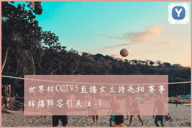 世界杯CCTV5直播女主持亮相 赛事转播阵容引关注_1