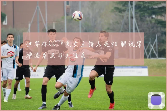 世界杯CCTV美女主持人亮相 解说席增添看点与关注度