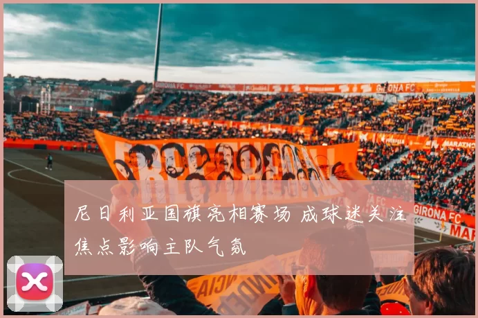 尼日利亚国旗亮相赛场 成球迷关注焦点影响主队气氛